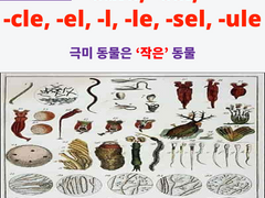 -cule, -cel, -cle, -el, -l, -le, -sel, -ule