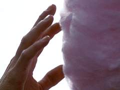 눈 내리는 날, 고양이가 찾아왔다 <끝>