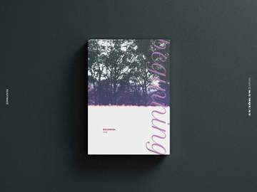 [구매 가능] beginning