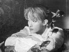 [도겸] 감기 걸린 남자는 매력적이다-33