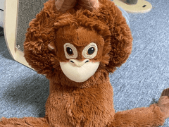 시티네 유사 Talk