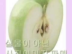 🍏커미션 공통공지🍏