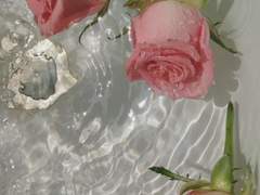 다복팔당多福八堂