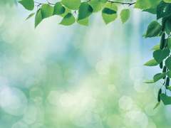 도위소병) 재회 -사족(?)