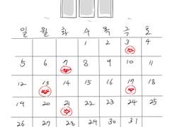 미필은 노하이 3월 업로드 계획표