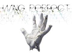 체이싱 퍼펙트 Chasing Perfect