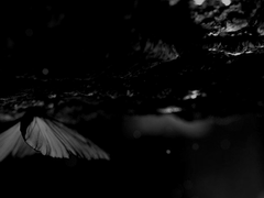 [산즈마이] 흑백동화