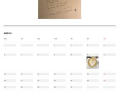 [노션 다이어리] 23년 3월 템플릿