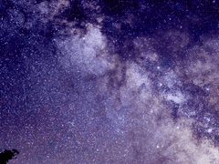 今夜は愛しい君と