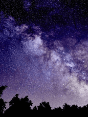 별의 자취를 좇아