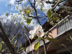 [명헌태섭] 4동 7호의 사내 12