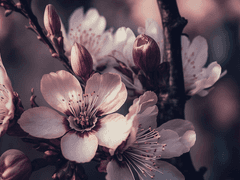 설아현 1학년 독거미