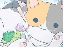 난 네 삼색고양이