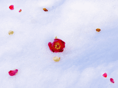 그리고, 첫 눈이 내린 뒤.