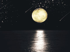 떠오르는 달은 태양이 되려고 한다.