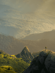 믿음직한 청부업자