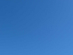 우성명헌│눈사람 살인사건