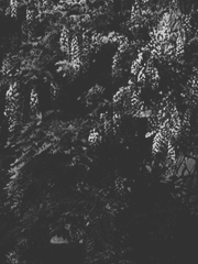 다시는 보고 싶지 않은 이에게.