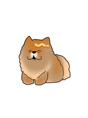 인세인 코인여우담