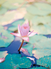 마도조사를 보는 마도조사 캐릭터들