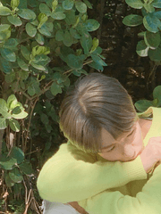 그때 그 여우는