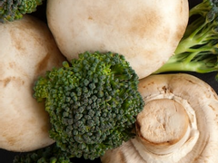 [우성태섭명헌/썰] 둘이 셋이 된 이유