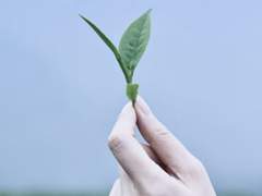 [카베탐] 528hz (上)