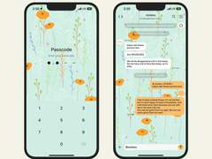 299. Blooming season 02 (orange)