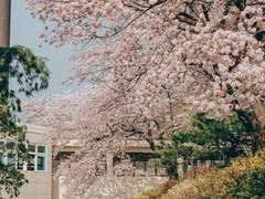 나의 여름에게 1