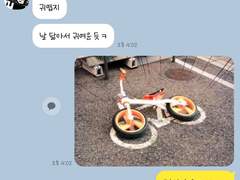 도리벤카피페모음(2)