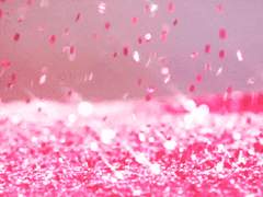 나의 아름다운 청춘에게