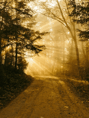 너에게 가는 길