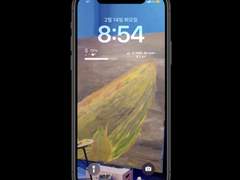 민혁 고래 일코