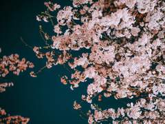 [태섭대만] 恋だろ(사랑이겠지)