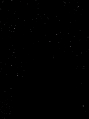 자비일 심부름센터