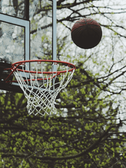 사쿠라야마의 사쿠라기 군