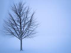 [도경X웅재] 바람이 휩쓸고 간 자리