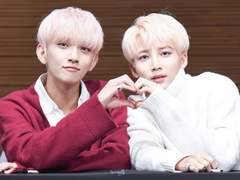 [홍윤] 로벨리아 35 -큐브