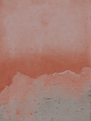 선을 좀 지켜 2차창작