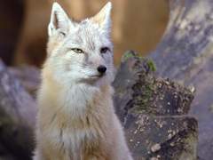 소유와 자유의 아이러니 II