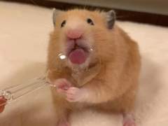 [포타] 엔시티 나페스 추천 TALK 편