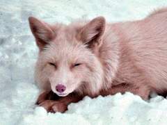 소유와 자유의 아이러니 III