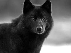 소유와 자유의 아이러니 Ⅴ