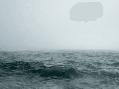 한철에 피고 져버릴 꽃