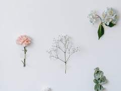 어느날, 네 명의 오빠들이 생겼다(4)