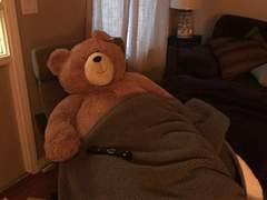 사랑은 거짓말쟁이 完 (19↓)