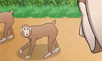 17. 원숭이한테 쫓긴 썰