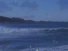 세상에서 제일 새빨간 거짓말 上