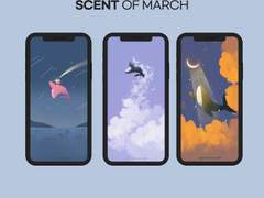 몽몽스베쮸 배경화면 공유