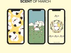 몽몽스베쮸 배경화면 공유